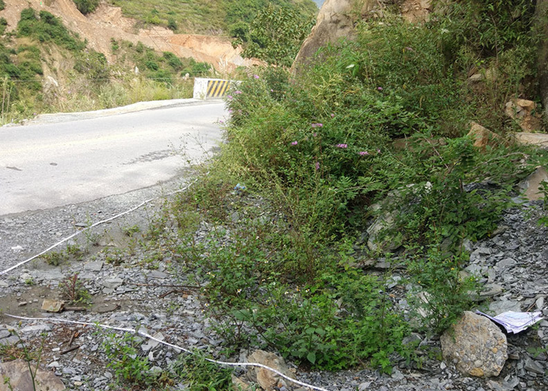 ԣ��ʡ����Ȼ���o�^���BӰ��Ŀ